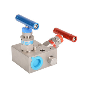 Collecteur à deux vannes en acier inoxydable 316 avec bride de pression différentielle 1/2 1/4 NPT, résistant aux hautes températures pour usage industriel - Product Image 1