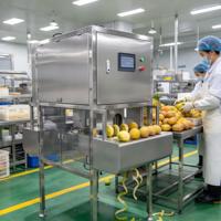 Automatische fruit- en groenteschilmachine van roestvrij staal, industrieel, voor mango, ananas, aardappel, sinaasappel, commerciële voedselverwerking
