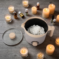 Kit de fabrication de bougies pour débutants adultes avec pot à cire à bec verseur et accessoires pour la fusion et le mélange de la cire