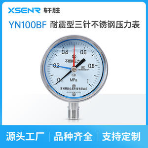 Manomètre en acier inoxydable Suzhou XuanSheng YN100BF 100 mm analogique à trois aiguilles pour usage industriel - Product Image 5