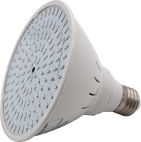 Lumière linéaire LED sous-marine IP68, étanche, en métal, DC12V, garantie de 2 ans, pour fontaine, piscine, étang, jardin, paysage, lampe spot
