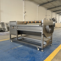 Automatische Borstelreinigingsmachine Fruit-En Groentewasmachine