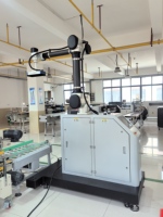 Machine de palettisation automatique pour bouteilles d'eau de conteneur de carton de sac