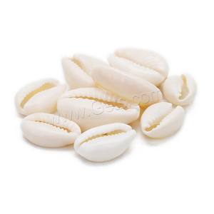 En gros DIY <span class=keywords><strong>Fabrication</strong></span> de Bijoux Blanc <span class=keywords><strong>Trompette</strong></span> Shell Perles Taille Différente pour Choix 20 PC/Sac 1358363 - Product Image 3