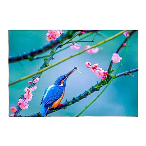 LTM220MT12 M220ZGE-L20 LTM220MT09 MT220WPM-N10 22inch TFT LCD Panel with Panel Mounting - Product Image 3