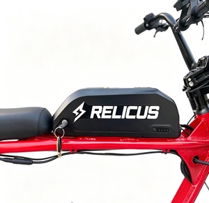 Vélo électrique de montagne SUP73 <span class=keywords><strong>RX</strong></span> 1000W avec moteur central sans balais en alliage d'aluminium 48V 10Ah pour adultes tout-terrain - Product Image 5