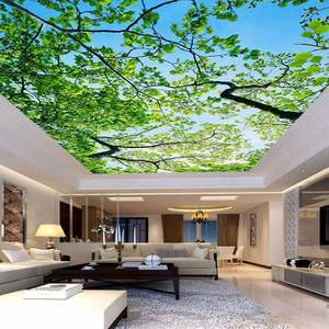 Película <span class=keywords><strong>de</strong></span> Techo <span class=keywords><strong>de</strong></span> PVC Flexible, Paneles <span class=keywords><strong>de</strong></span> Revestimiento Ignífugos, Techos Artísticos Falsos - Product Image 1