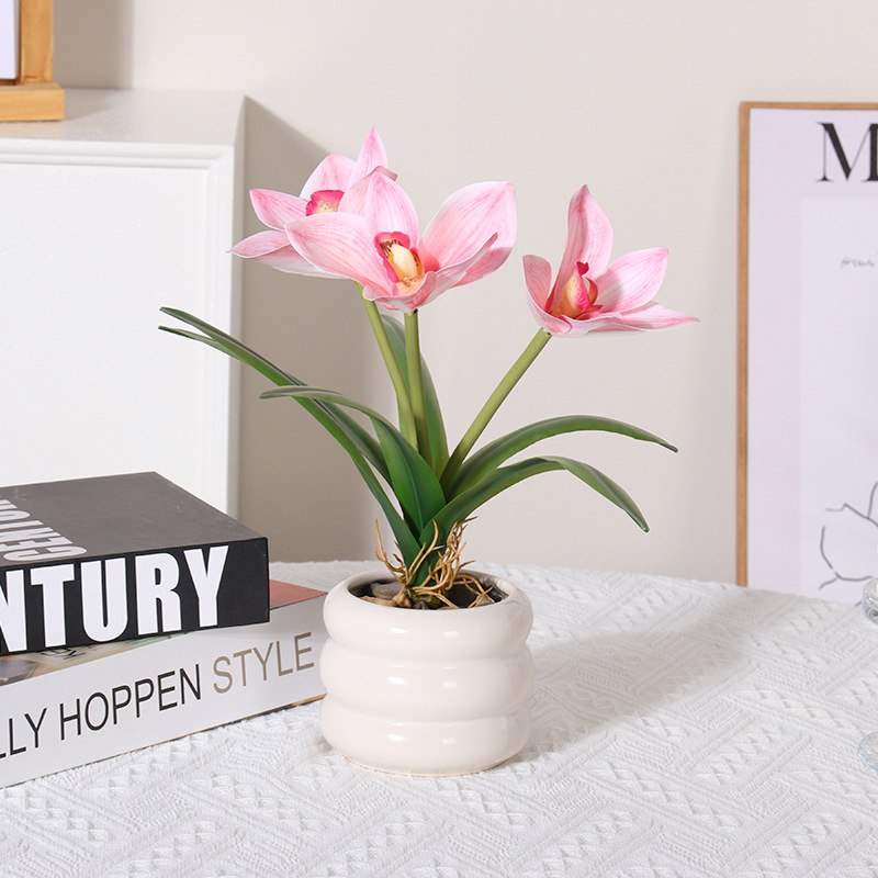 Una planta en maceta rosa de Cymbidium goeringii