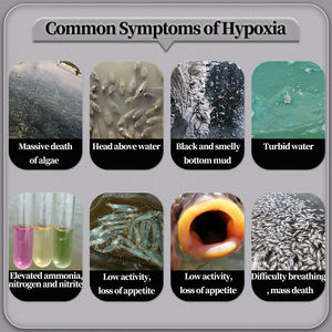 Yüksek Protein oksijen tabletleri balık karides Tilapia kilo kazancı için yayın balığı büyümesi daha hızlı probiyotikler takviyesi - Product Image 2