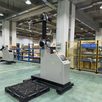 Système de palettisation collaboratif intelligent avec préhenseur à vide, palettiseur cobot automatisé à 6 axes pour l'empilage de boîtes de produits variés