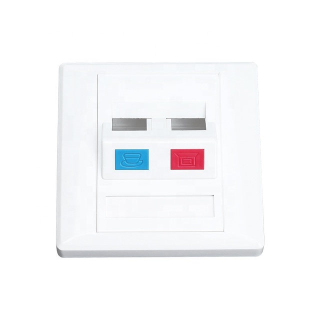 Lulink 45 Degrees French Style Double Port Faceplate 86 Style Current Wall Plate with Durable ABS Material Telecom Parts