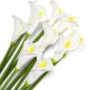 Fleurs artificielles Calla Lily en EVA de haute qualité, effet réaliste, blanches, pour décoration de mariage, décoration de la maison, accessoires de photographie - Product Image 2