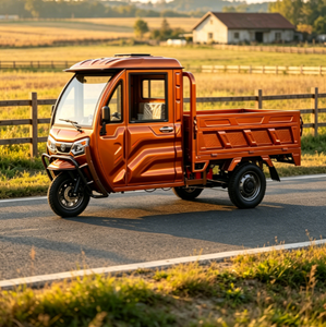 Tricycle <span class=keywords><strong>de</strong></span> <span class=keywords><strong>transport</strong></span> agricole et d'élevage certifié EEC COC CE, 1500w électrique, consommation <span class=keywords><strong>de</strong></span> carburant nulle, EEC / COC / L2e-U - Product Image 6