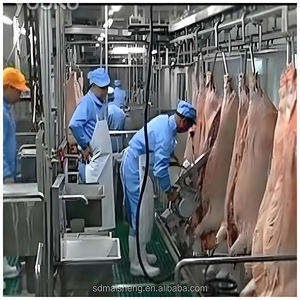 Ligne complète d'abattage des truies Maisheng pour boucherie équipement d'abattoir de porc ligne d'abattage de porc - Product Image 1