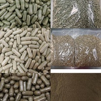 Vente en gros usine : Pilule de vitalité masculine à marque privée, à base de plantes, X-power Max Energy, pour la virilité et la puissance masculine, comprimé et capsule dure