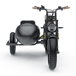COSWHEEL CT20S/CT20 1000W Fat Tire Triciclo eléctrico <span class=keywords><strong>Sidecar</strong></span> <span class=keywords><strong>E</strong></span>-<span class=keywords><strong>bike</strong></span> Carry Pets Three Wheel Pedal Assist 1500W Road Ebike <span class=keywords><strong>Sidecar</strong></span> - Product Image 4