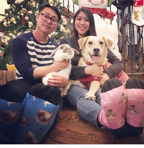 SOXTOWN — chaussettes à Photo personnalisées, bas quantité minimale de commande mc, Photo, imprimé numérique en 3D, personnalisées - Product Image 4