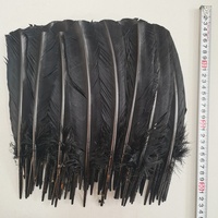 Plumes de dinde teintes en gros, 30-35 cm, plumes décoratives d'ailes de dinde pour costumes de carnaval, bricolage, artisanat, accessoires de chapellerie