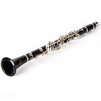New Design Popular High Quality 17 Key Bb Clarinet Woodwind Musical Instrument Clarinet with Accessories
