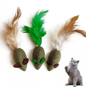 असली पंख मोलर दांत साफ करने वाले माउस आकार बिल्ली स्वस्थ स्नैक कैनिप बिल्ली खिलौना - Product Image 1