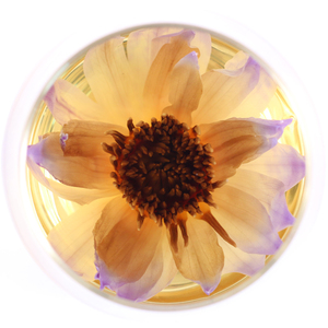Lan Lian Hua en stock, fleurs <span class=keywords><strong>de</strong></span> lotus bleues séchées entières, boutons <span class=keywords><strong>de</strong></span> fleurs fermés, lotus bleu en vrac, thé aux fleurs - Product Image 3