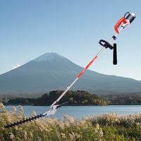 Coupe-herbe électrique professionnel 24V sans fil pour l'élimination des plantes aquatiques immergées dans les lacs et étangs