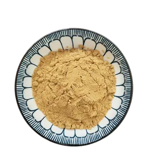 Poudre d'extrait de gingembre naturel en vrac en gros Yunnan petite poudre de gingembre biologique rouge séchée poudre de gingembre pur
