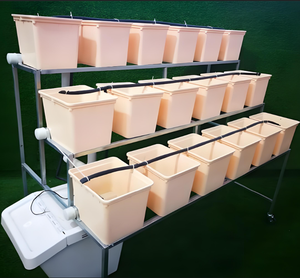 Sistema di Coltivazione Idroponica Dutch Bucket di Alta Qualità, Secchio Quadrato in Plastica Beige con Coperchio per la Coltivazione di Ortaggi - Product Image 3