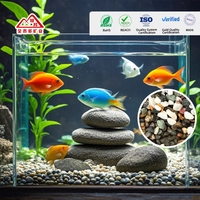 Terrazzo naturel poli et écrémé, écologique, moderne, décoratif, coloré, de tailles variées, pour aquariums, jardins, allées et aménagements extérieurs