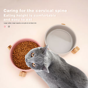 Sunraymascota PET Sem derramamento Tigela dupla Cat Bowl Prato Pet Food Alimentador De Água Gatos Cães Pequenos Cerâmica Cat Dog Bowl - Product Image 4