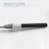 Allumeur céramique à surface chaude avec revêtement noir 300W 230V pour poêle à granulés