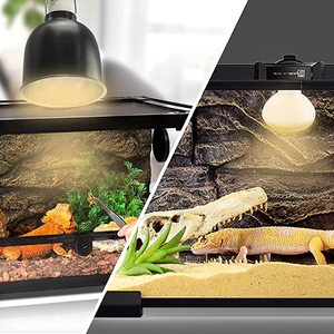 LUCKYHERP 25w 50w 75w 100w lampadina termica per rettili, lampadina per crogiolo anfibio con CE ROHS