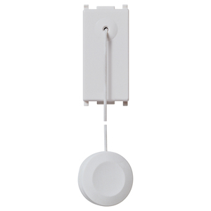 Push <b>Button</b> Switch 10A With Silver Pull Cord 6 In Length For Electrical Use - Product Image 1