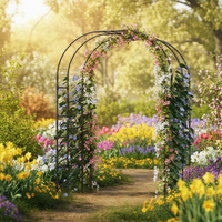 Arcos Modernos y Minimalistas para Exteriores, Arcos de Hierro para Jardín o Patio, para Bodas