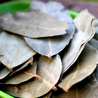 Feuilles de laurier séchées chinoises de haute qualité, fournies par l'usine Yue Gui