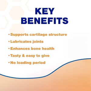 อาหารเสริมบำรุงสะโพกและข้อต่อสำหรับสุนัขแบบ OEM/ODM แบรนด์ส่วนตัว - ชนิดเคี้ยวเนื้อนุ่ม ปราศจากธัญพืช ดูดซึมเร็ว สำหรับสะโพกและข้อต่อ - Product Image 4