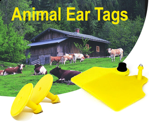 Étiquette d'oreille animale Rfid étiquettes d'oreille pour animaux pour vache mouton cheval vache cochon mouton bétail étiquettes d'oreille - Product Image 6