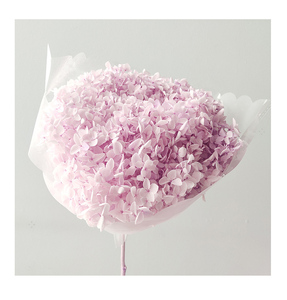 Usine En Gros Véritable Naturel Préservé Fleur Multi Couleur <span class=keywords><strong>Stabilisé</strong></span> Hortensias Hortensias Préservé - Product Image 2