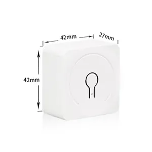 Export Explosion Interruptor Inteligente Smart Switch Electrical Socket Inner In-Room Appliances