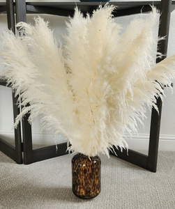 A-2 3 Tiges <span class=keywords><strong>Grand</strong></span> BLANC <span class=keywords><strong>PAMPAS</strong></span> HERBE 3-4ft <span class=keywords><strong>Grand</strong></span> Vente Fleurs Sèches Décor À La Maison Boho Décor De Mariage Floral Décor | Bouquet De Pampa - Product Image 4