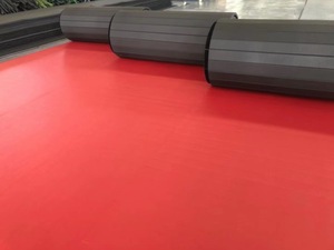 Velcro Patchwork BJJ Custom Roll Judo <span class=keywords><strong>Vinyl</strong></span> Wrestling Plegable Karate Taekwondo Jiu Jitsu Tatami Aikido XPE <span class=keywords><strong>Gym</strong></span> Cheerleading <span class=keywords><strong>Mat</strong></span> - Product Image 6