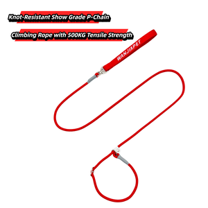 ठोस रंग, एक टुकड़ा कॉलर और लीश 2-इन-1, शो ग्रेड पैचेन (प्रशिक्षण) व्यापक हैंडल, लुभावनी और गैर-स्ट्रैकोण, अक्षर कढ़ाई उच्चारण - Product Image 2