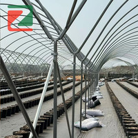 Abri de pluie durable en forme de Y pour la protection des petits fruits, des baies, des légumes et des plantes de jardin