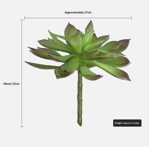Suculenta Artificial <span class=keywords><strong>Echeveria</strong></span> al por Mayor, <span class=keywords><strong>Planta</strong></span> Artificial de Tacto Suave para Decoración del Hogar, Oficina y Terrario - Product Image 5