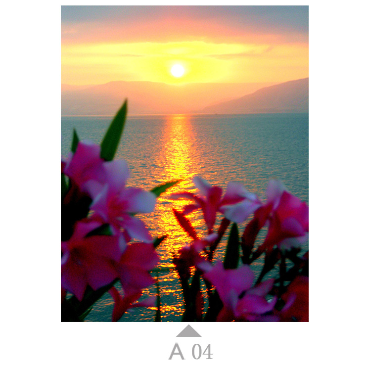 Multicolor-A04