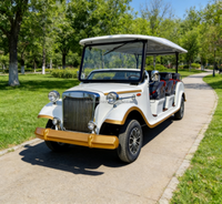 Voitures électriques abordables, voitures électriques classiques, bus urbains professionnels puissants et à haute efficacité pour propriétés privées et utilisation tout-terrain