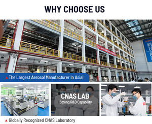 सावो एरोसोल स्प्रे पेंट ठंडा गैल्वेनाइज्ड कोटिंग पेंट जस्ता एल्यूमीनियम स्प्रे पेंट - Product Image 4