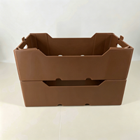 Boîte à avocat en plastique ondulé imprimée sur mesure, emballage de fruits recyclable, conteneur écologique imprimé en flexo pour produits frais