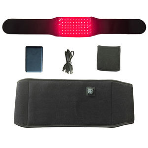 Alfombrilla de Terapia de Luz LED, Almohadilla de Terapia Portátil, Sensación de Calor Abdominal/Cintura, Material ABS Confortable, Batería de 5000 mAh - Product Image 3