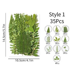 ZS010 35 pièces de vraies feuilles séchées vertes de fougère de forêt sèche pour Nail Art résine savon bougie bijoux décoration - Product Image 5